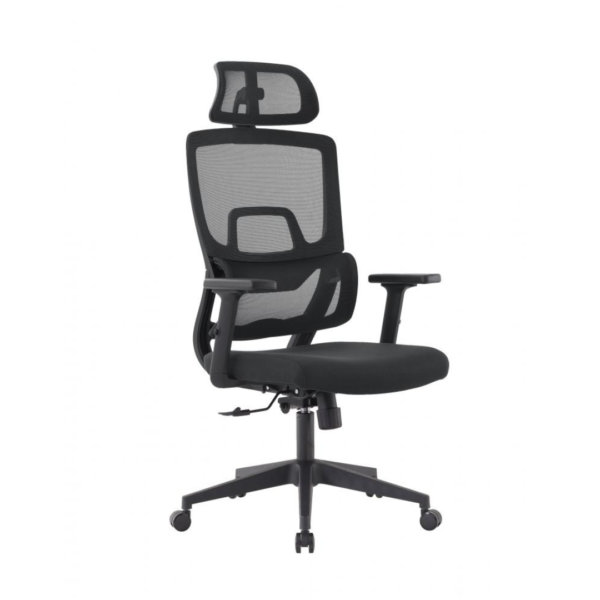A cadeira Chelsea Presidente, certificada pela NR17, é ideal para trabalhar com conforto no escritório ou em casa. Totalmente ajustável, com braços, assento e encosto reguláveis, ela adapta-se às necessidades do usuário. Seu assento em espuma injetada proporciona conforto juntamente ao encosto em tela com lombada ergonômica, que previne dores nas costas.