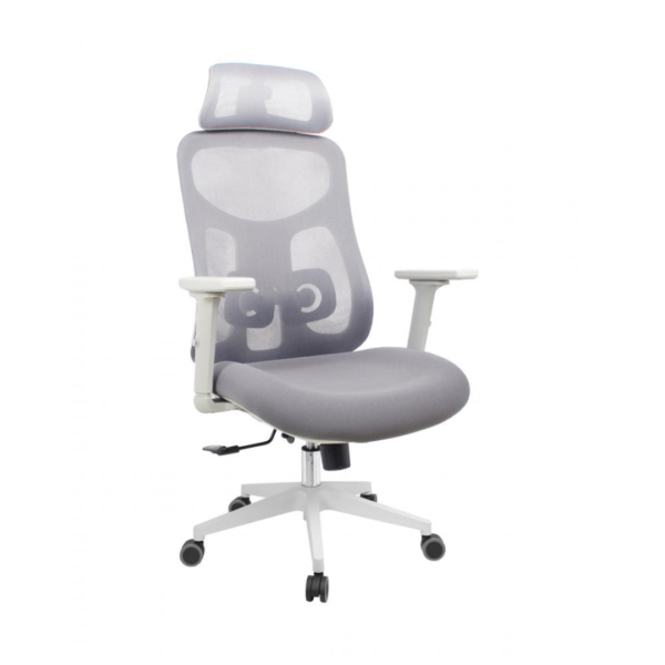A cadeira Everest Presidente é ergonômica, ajustável e possui duas opções de cores, sendo elas, preto ou gelo. Proporciona conforto e suporte, com recursos ajustáveis para encosto, altura do assento e apoios de braço. Seu design diferenciado, garante boa postura, distribuição de peso e prevenção de dores nas costas. Ideal para um ambiente de trabalho produtivo e saudável.