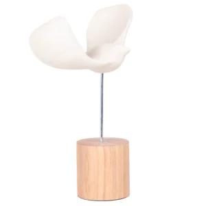 Escultura de resina com desenho artístico de gaivota voando em tonalidade bege claro, com base de madeira natural e metal prateado no centro suspendendo a gaivota. Adorno de acabamento liso criado para ser exposto sobre mesas, aparadores, estantes e prateleiras. Desenvolvido e fabricado nacionalmente pela Modali Design.
