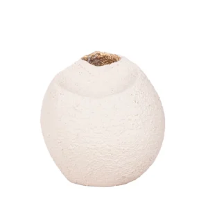 Vaso em resina com aspecto rustico, com tonalidade areia e com design orgânico e acabamento interno em dourado. Peça de design moderno com toque sutil, pode ser utilizado com o seu arranjo sobre mesas e estantes. Desenvolvido e fabricado nacionalmente pela Modali Design.